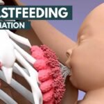 Breastfeeding | 3D Animation